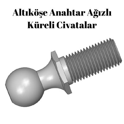 ALTIKÖŞE AA KÜREBAŞLAR