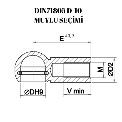 ÇAP 10 - MUYLU-NAVİGATÖR-SEÇİM